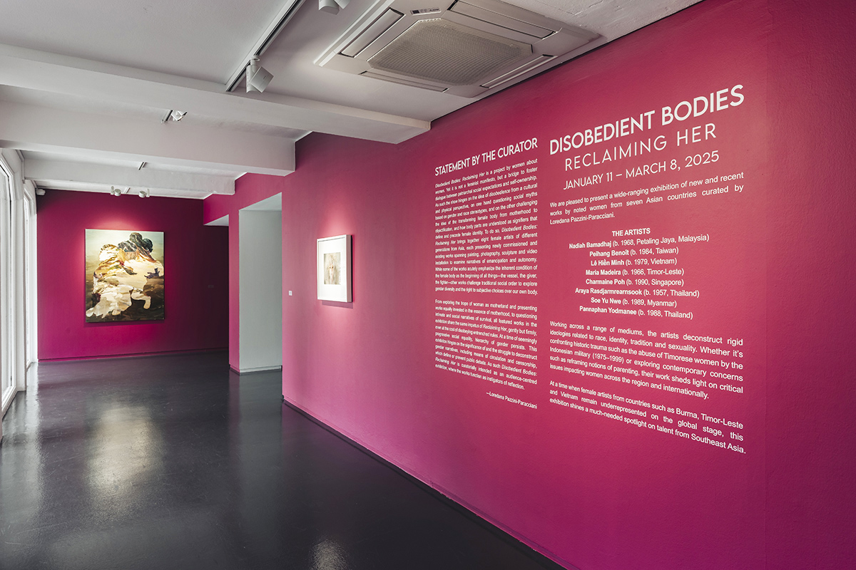Disobedient Bodies Reclaiming Her Install_3e